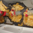 디알에프(DRF) 이미지