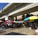 춘천풍물시장 이미지