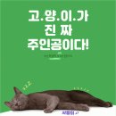 나만 없어 고양이 이미지