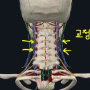 신진CST 이미지