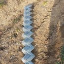 철선농장 이미지