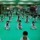 중앙태권도 이미지