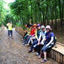 맹종죽테마공원 이미지