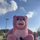 연인벨리 | 🧸✨ 순천에 벨리곰 돌아온 거 실화!? 조례호수공원 산책하며 직접 보고 온 후기