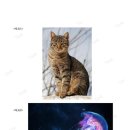 디자인봄미술학원