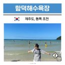 함덕환승정류장 | 제주도 동쪽 여행 코스 가볼만한곳 함덕해수욕장 해변 놀거리