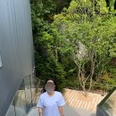 노바블라스트 5 2E 와이드 블랙, 오사카 택스프리 구매 후기