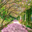 아미미술관 이미지