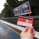 루나 하우스(Luna House) 이미지