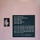 가톨릭목포성지역사박물관 Daum카페