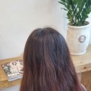 마끼다헤어 이미지