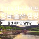 태화연 오토야영장 이미지