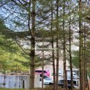 사랑의 하츄핑 뮤지컬 전주 - 솔직 후기 , 가격, 한국소리문화의전당 배치
