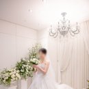 무왕로 | 익산 힐스코트 빛과 분위기를 담은 본식스냅