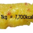 점핑점핑 트램펄린 이미지
