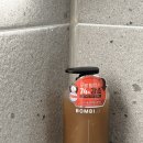 (주)유맥 | 봄비유 한올 맥주효모 탈모샴푸 사용 후기