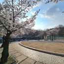 마상로 네이버블로그