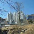 부산남구 삼익그린타운아파트1 네이버블로그