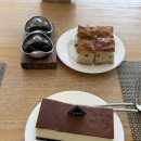 몬테로쏘 | 거제 소노캄 몬테로쏘 솔직후기