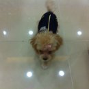 폴리파크지산점 이미지