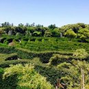 장안유통 이미지