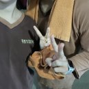 세종황토사우나 이미지