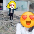 선인장을 부탁해 이미지