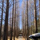 땅구 당구클럽 | 전북 익산시에 위치한 익산컨트리클럽(구.상떼힐CC)이용후기