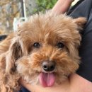 플레이 바우 이미지