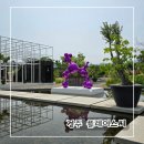 경주 가볼만한곳 물안개 포토존이 있는 복합문화공간 플레이스씨