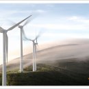 매봉산 바람의언덕 이미지