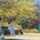 계척시목지 이미지