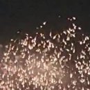 포항불꽃축제... 이미지