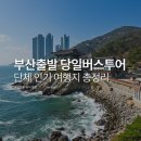 세민국제관광 | 부산출발 당일버스투어 단체 인기 여행지 총정리