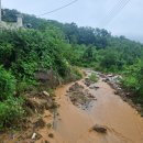 순천-22호 이미지