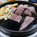 장룡