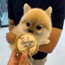 고성 | 경남 고성 애견펜션 리조트 피야드 클리프 후기