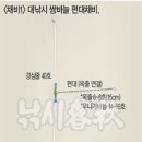 강화·김포·임진강 장어낚시 가이드 이미지