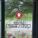 국내 강원, 홍천강 바로 앞 감성 숙소, 일신민박강가에 후기_다슬기 잡기 좋은 홍천 민박 추천