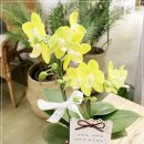 경기화분