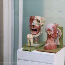 당신e빛나는 치과의원 | 거제동치과 치과 공포증 극복! 우리 가족 모두 안심하고 찾는 치과