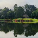 웰빙타운 이미지