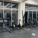 크로스핏 스프링캠프 이미지