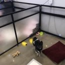 덕구놀이터 이미지