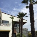 오아시타 이미지