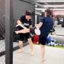 엑스퍼트짐 교대점 이미지