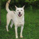 태영카센타 이미지