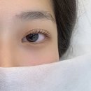 경안천로 | 경기광주 송정동 속눈썹펌 추천 브라운블랙 주차장 완비 솔직후기 유지력 디자인 대만족