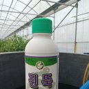 제이디피모터스 오라점 이미지