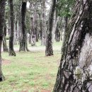 국립소록도병원 한센병박물관(휴관) 이미지